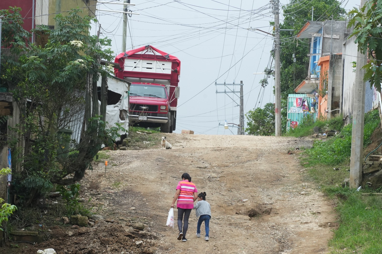 Inicia rehabilitación de calle en colonia Perseverancia 05