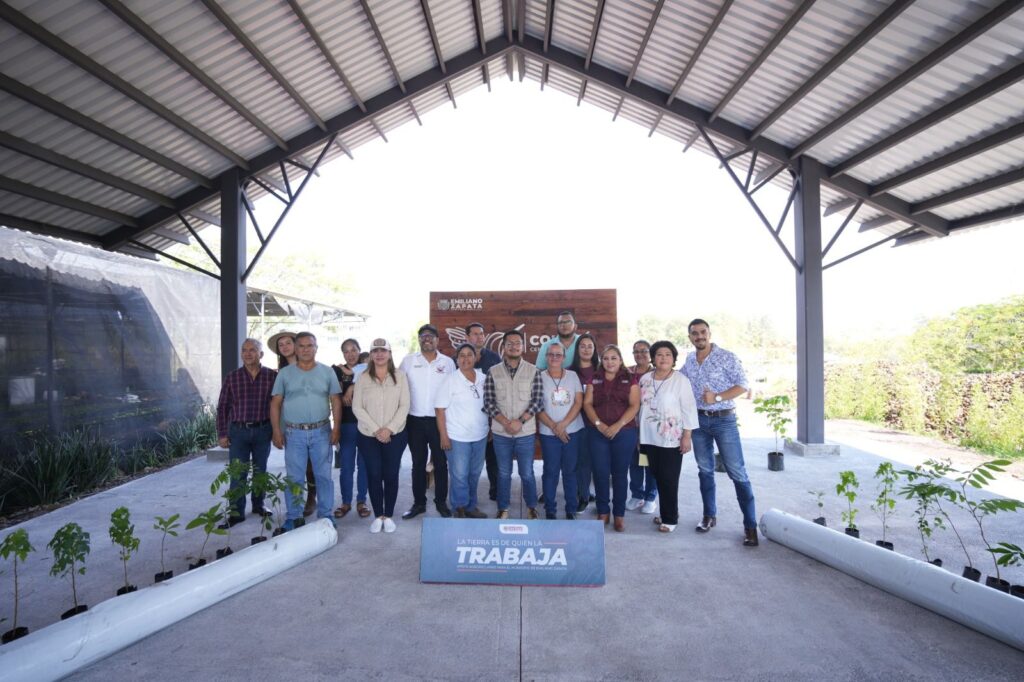 Apoya Ayuntamiento de Emiliano Zapata producción de nochebuena en La Estanzuela