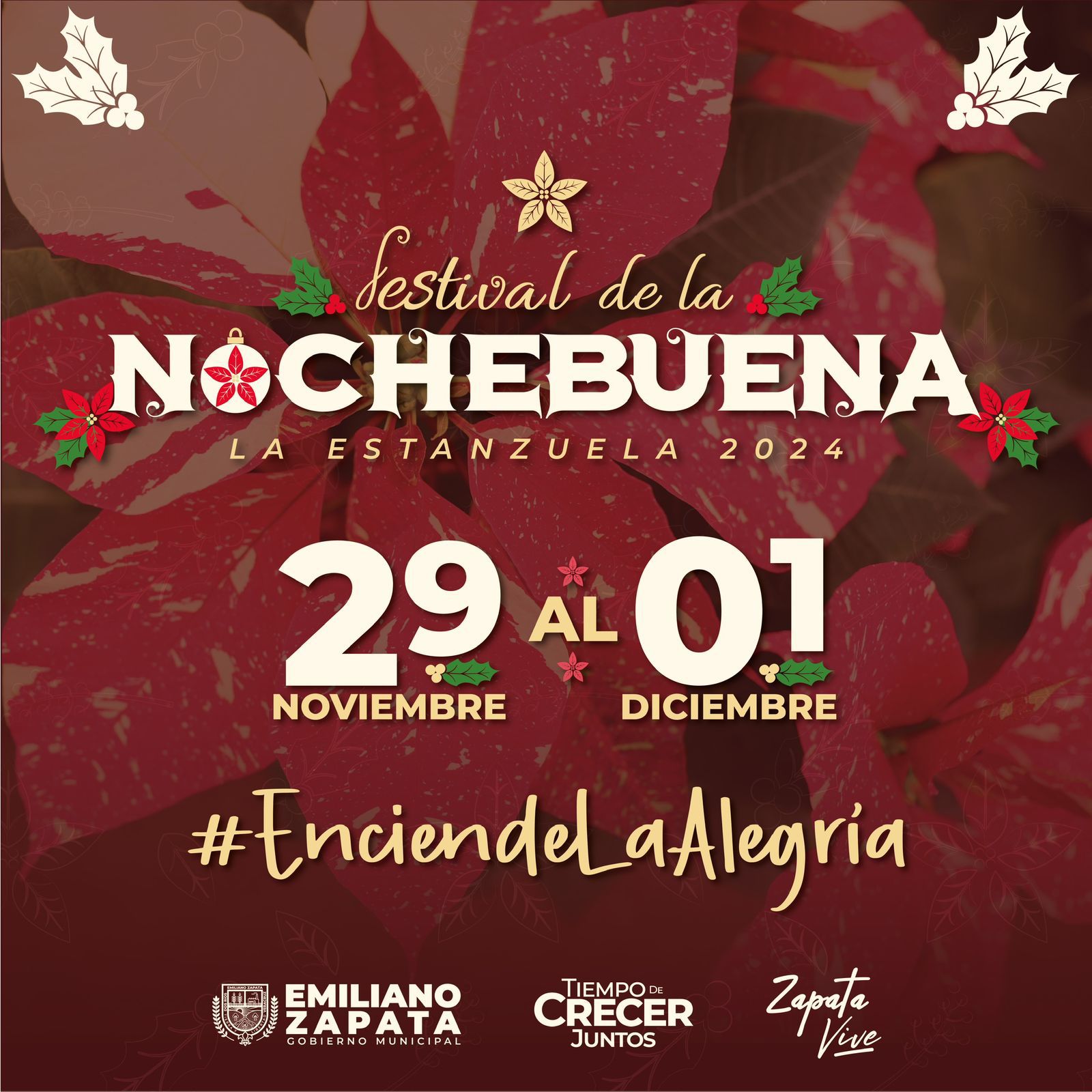 Programa Nochebuena 2024 01