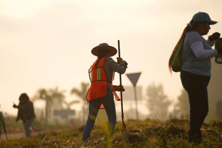 La faena más grande del Estado 02