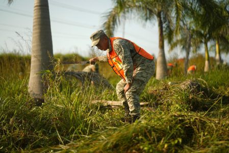 La faena más grande del Estado 07